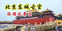 捆绑巨乳少妇中国北京-东城古宫旅游风景区